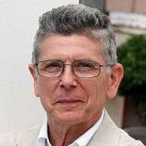 José Luis Díez-Ripollés